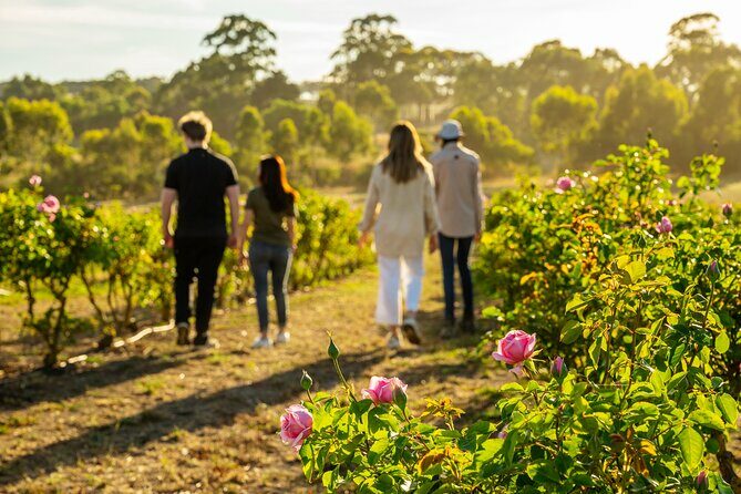 Jurlique Farm Tour - Who Will Love This Experience?