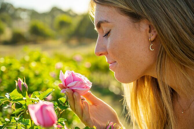 Jurlique Farm Tour - The Itinerary in Detail: What to Expect
