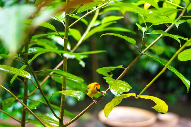 Jurong Bird Park Bird Photography - Group Size and Additional Information