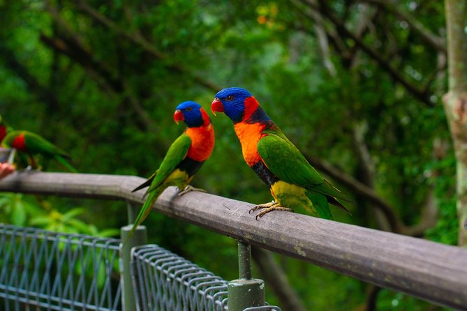 Jurong Bird Park Bird Photography - Getting There and Parking
