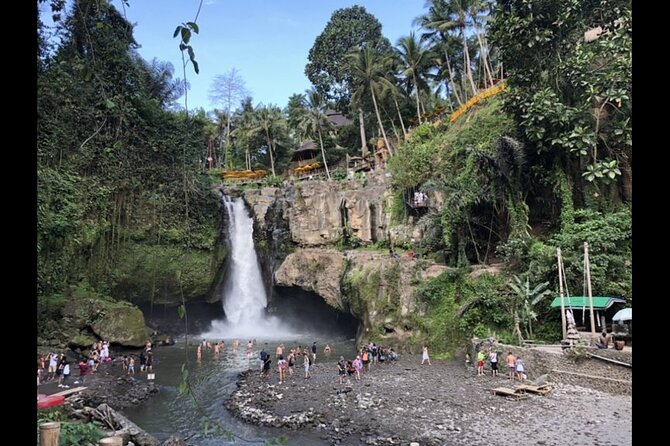Just For Fun Bali Driver - Tour Activity Details
