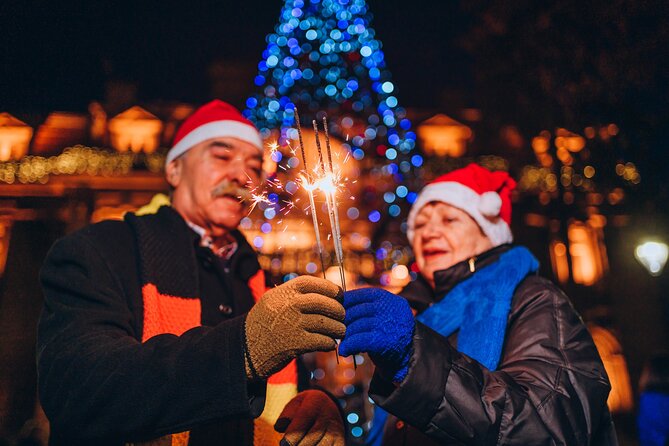 Jyvaskyla Christmas Delights Expedition - Tour Features