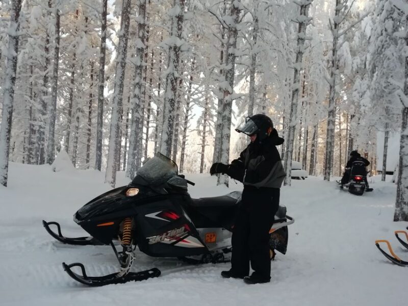 Jyvaskyla/Laukaa: 2-Hour Snowmobile Safari - Activity Overview