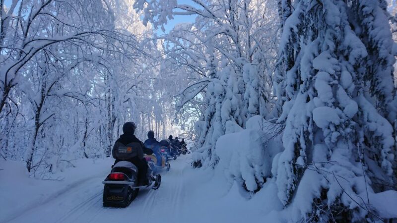 Jyvaskyla/Laukaa: 2-Hour Snowmobile Safari - Inclusions