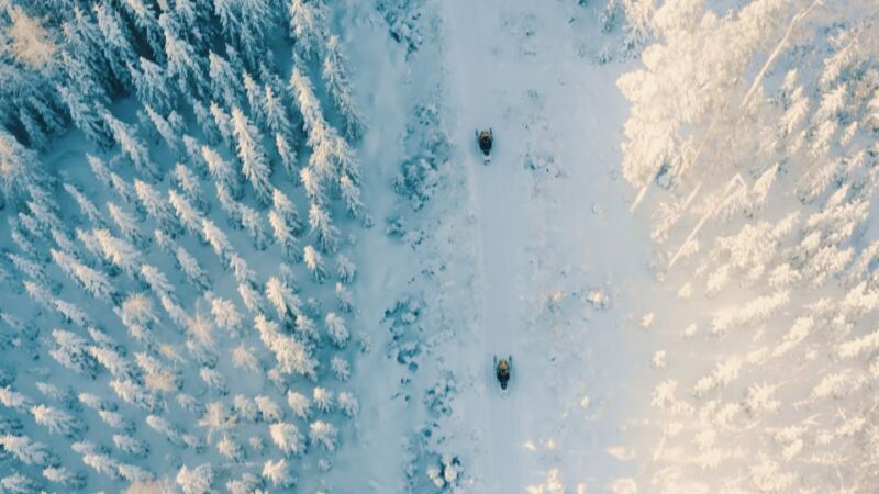 Jyvaskyla/Laukaa: 2-Hour Snowmobile Safari - Cancellation and Booking Details