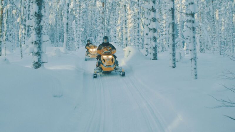 Jyvaskyla/Laukaa: 2-Hour Snowmobile Safari - Sum Up