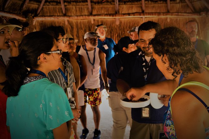 Kaan Luum & Cenotes Mayan Traditions - Guest Testimonials
