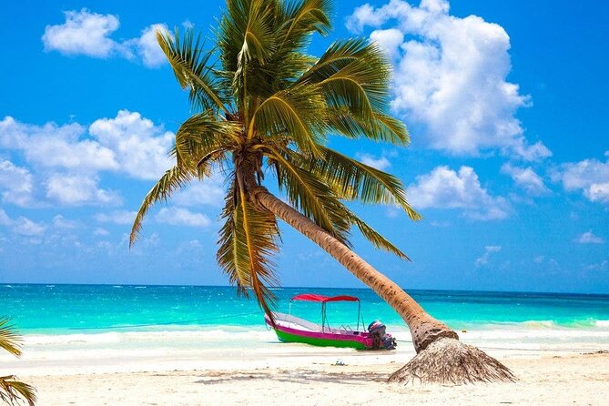 Kaan Luum Lagoon, Cenote Zacil Ha & Cenote Kuxtal Tour From Tulum - Transportation and Logistics