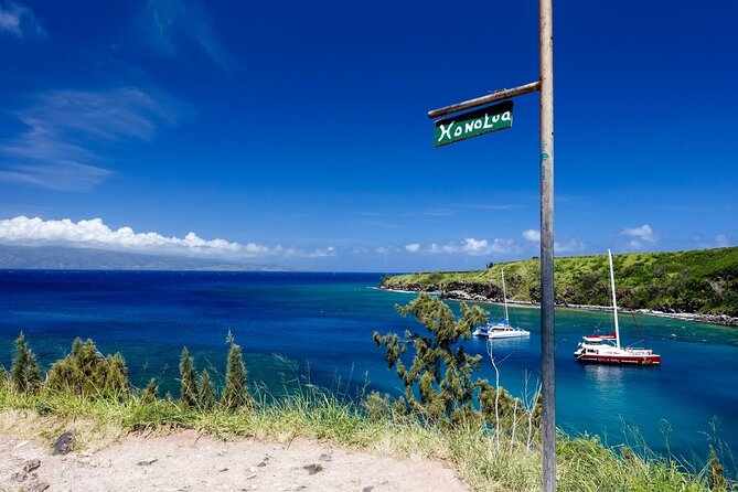 Kaanapali to Kapalua Maui Explorer Electric Bike Rental - Participant Requirements