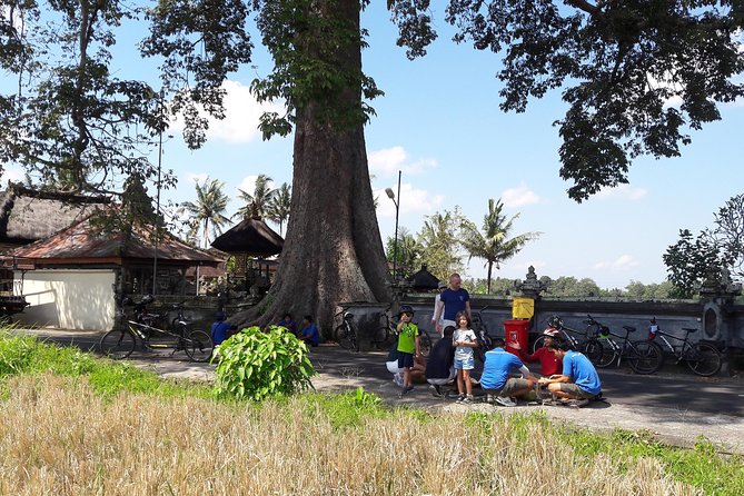 Kaba Kaba Reason for Harmony Cycling - Observing Traditional Farming Practices
