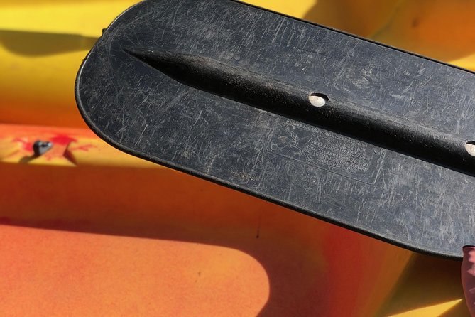 KaBrew: Traverse Citys Original Kayak, Bike & Brew Experience - Guided Assistance