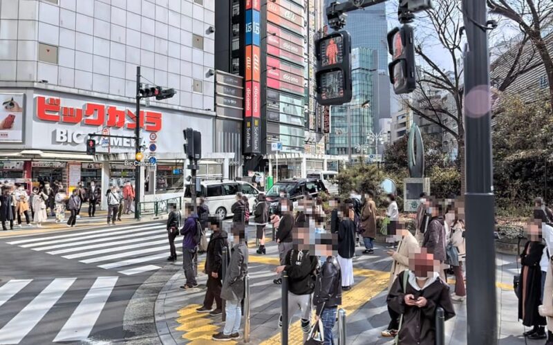 Kabukicho Macabre Tour - the Real Tokyo Vice - History of Kabukicho