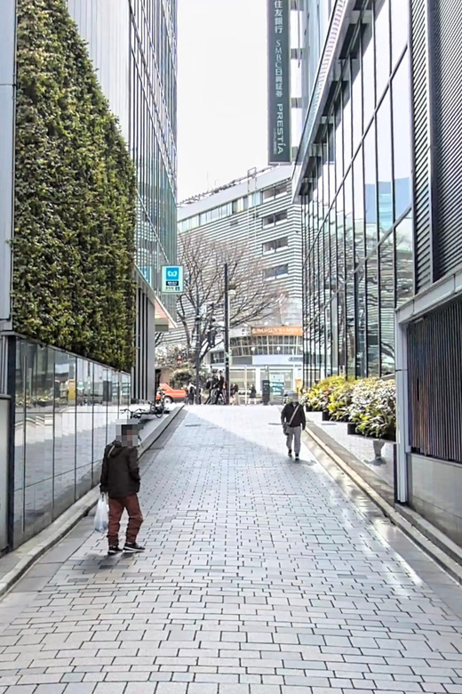 Kabukicho Macabre Tour - the Real Tokyo Vice - Nightlife and Nightwork in Japan