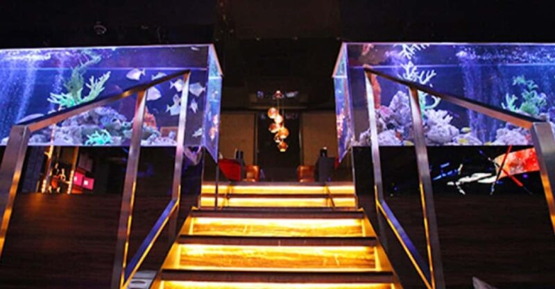 Kabukicho, Shinjuku: Experiencing the Japanese Host Club Culture - Key Points