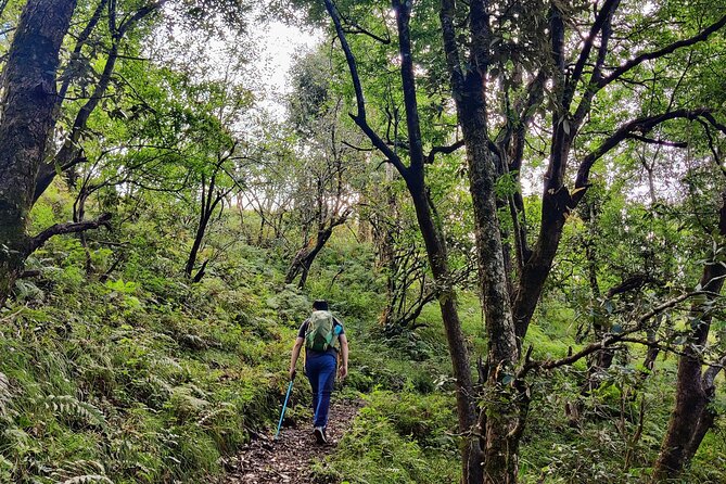 Kaflani Day Hike - Mussoorie - Difficulty Level and Accessibility