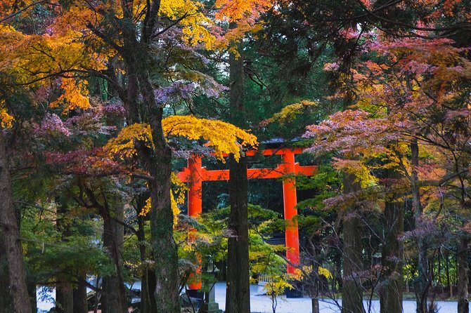 Kagoshima Custom Half Day Tour - Provider Background