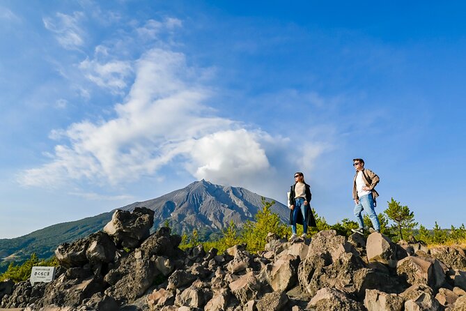 Kagoshima Custom Tour With Private Car and Driver - Accessibility and Medical Considerations
