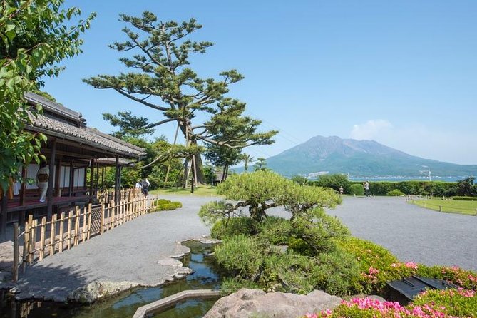 Kagoshima Full-Day Private Tour With Government-Licensed Guide - Accessibility and Logistics