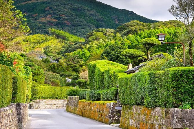 Kagoshima Full-Day Private Tour With Government-Licensed Guide - Pricing and Booking Information