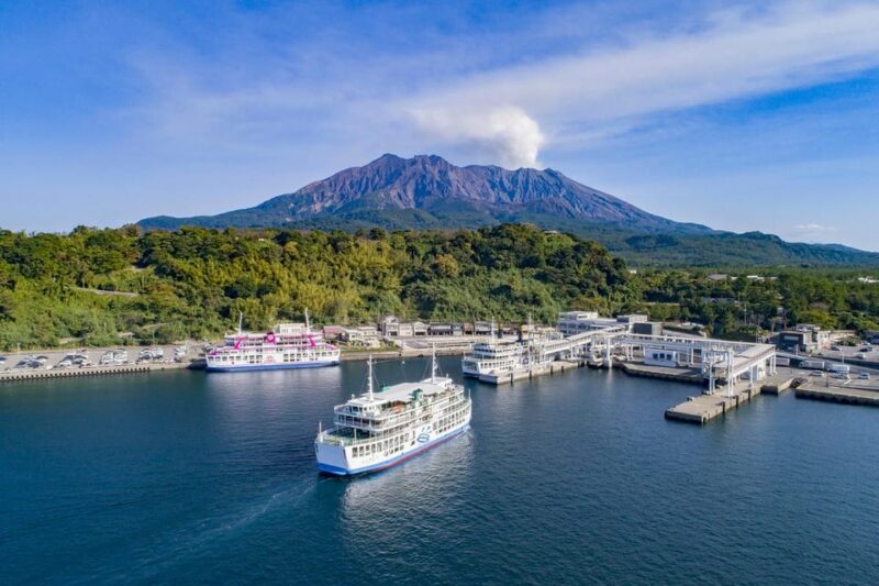 Kagoshima Half-Day Sightseeing Tour - Shiroyama Observatory Experience
