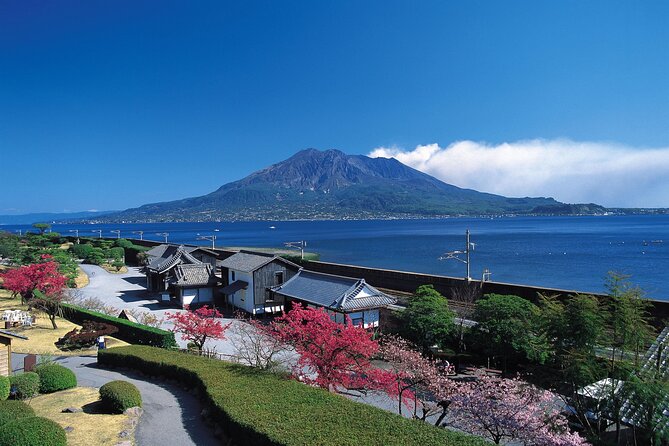 Kagoshima Highlights, Sakurajima Volcano, Etc. (Maximum 8 People) - Inclusions
