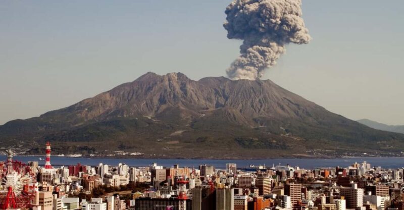 Kagoshima Private City View Bus Tour - Key Points