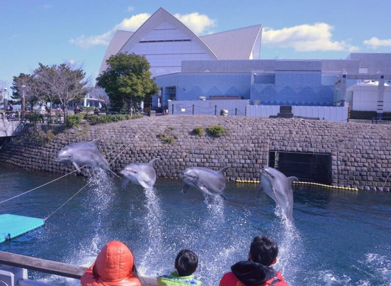 Kagoshima Private City View Bus Tour - Highlights of the Tour