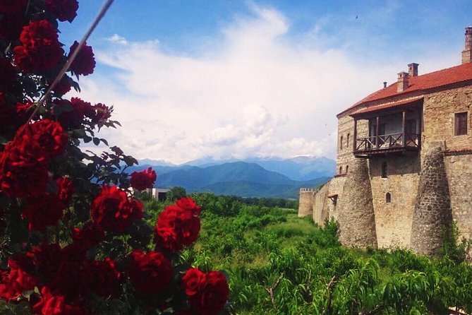 Kaheti One Day Wine Tasting and Sightseeing Tour 2022 - Key Points
