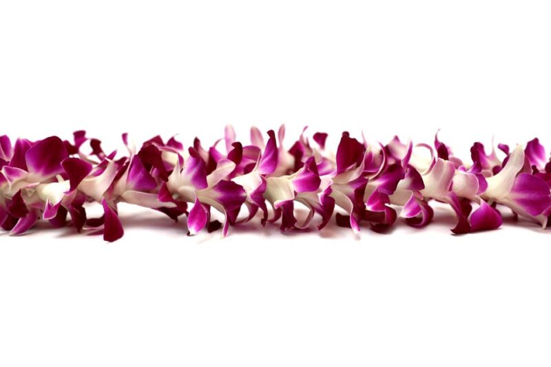 Kahului Airport: Maui Flower Lei Greeting Upon Arrival - Arrival Process