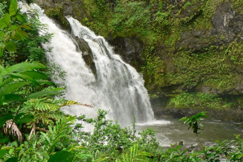Kahului: Guided Rainforest and Waterfall Walk - Key Points