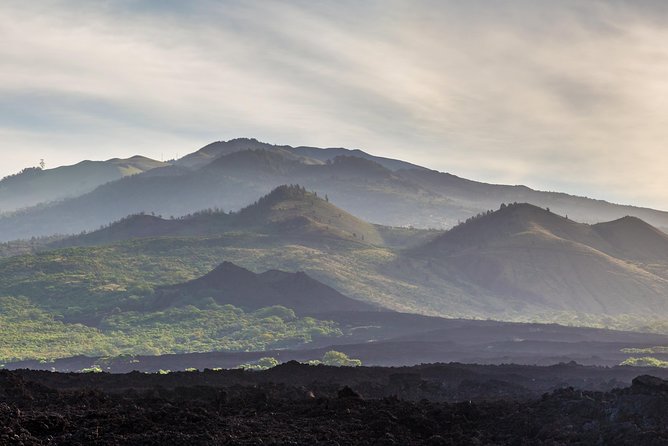 Kahului Shore Excursion: Private Tropics of Maui & Rainforest - Tropical Plantations