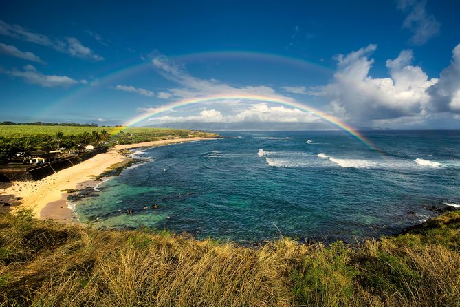 Kahului Shore Excursion: Private Tropics of Maui & Rainforest - Inclusions and Amenities