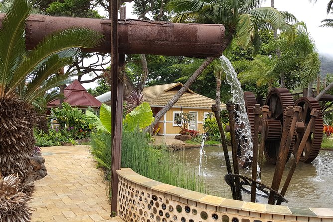 Kahului Shore Excursion: Private Tropics of Maui & Rainforest - Guest Feedback