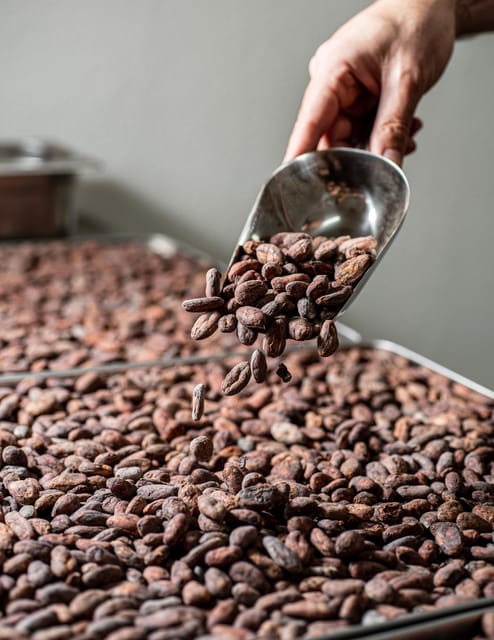 KAIACAO Bean to Bar Chocolate Factory Tour and Tasting - Group Size and Pricing