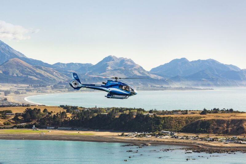 Kaikoura: 1-Hour Whale Watching Helicopter Tour - Customer Reviews and Feedback