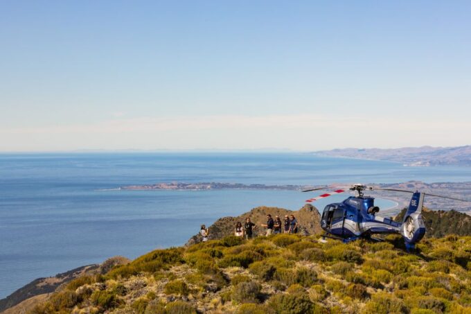 Kaikoura: 1-Hour Whale Watching Helicopter Tour - Frequently Asked Questions