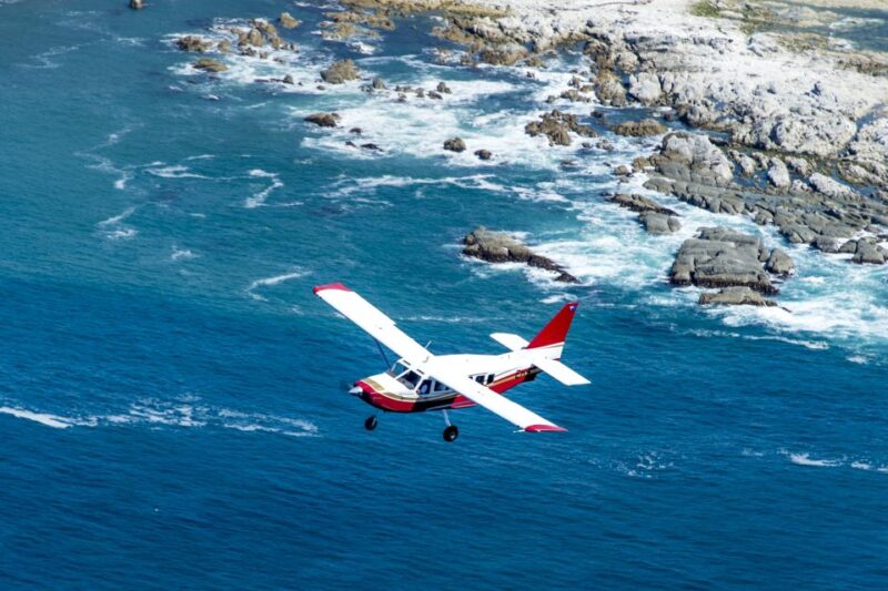 Kaikoura: 40-Minute Whale Watching Flight With Commentary - Customer Reviews and Ratings
