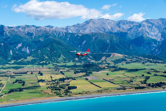 Kaikoura: Coastal and Alpine Scenic Airplane Flight - Meeting and Pickup Information