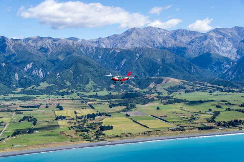 Kaikoura: Coastal and Alpine Scenic Airplane Flight - Customer Feedback
