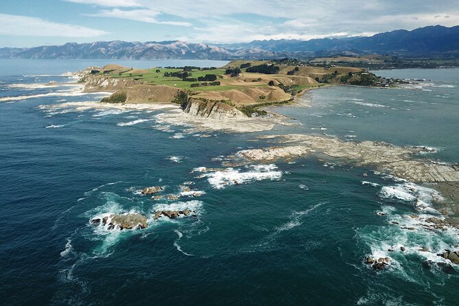 Kaikoura Day Tour With Kayak Experience From Christchurch - Meeting and Pickup