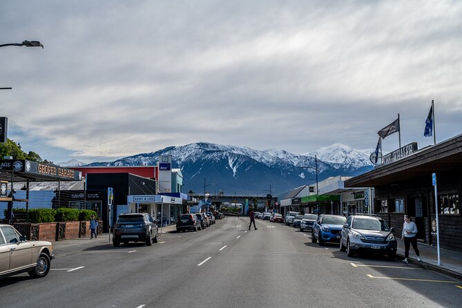 Kaikoura Day Tour With Kayak Experience From Christchurch - Additional Information