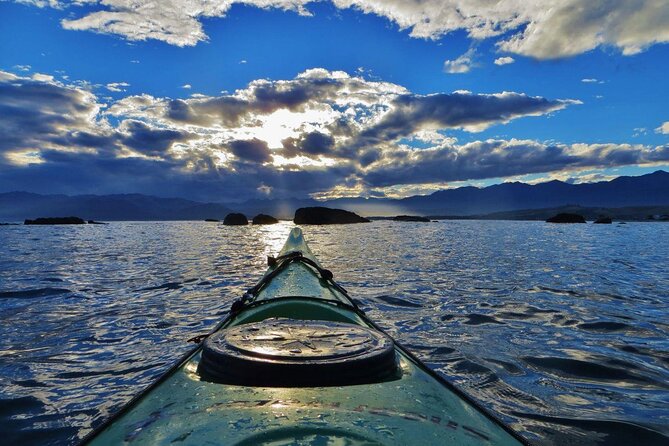 Kaikoura Day Tour With Kayak Experience From Christchurch - Kayaking Wildlife Experience
