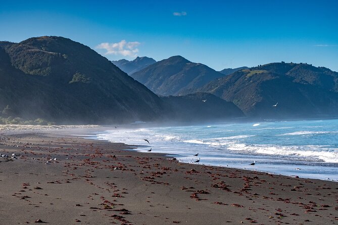 Kaikoura Day Tour With Kayak Experience From Christchurch - Frequently Asked Questions