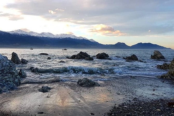 Kaikoura Day Tour With Whale Watching - Itinerary and Activities