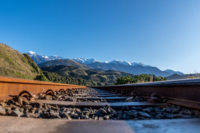 Kaikoura Day Tour With Whale Watching From Christchurch - Dietary and Accessibility