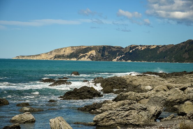 Kaikoura Day Tour With Whale Watching From Christchurch - Booking and Cancellation Policy