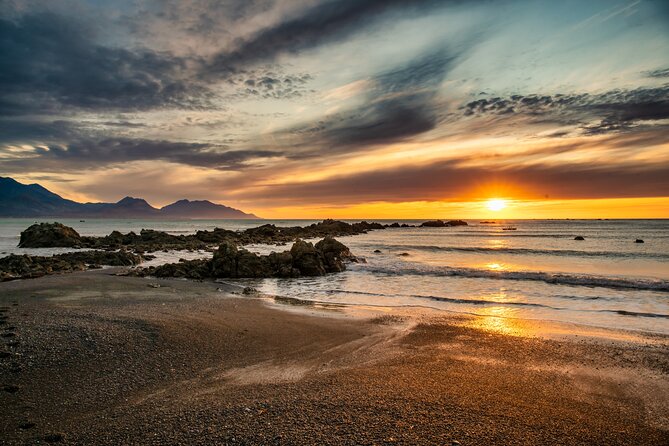 Kaikoura Day Tour With Whale Watching From Christchurch - Famous Local Fish N Chips