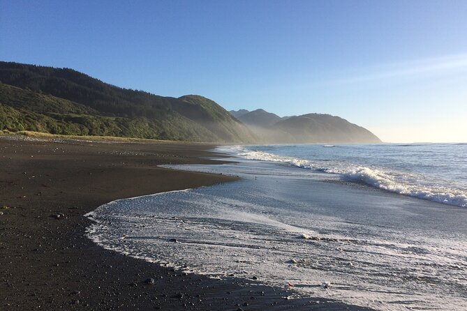 Kaikoura Day Trip From Christchurch (Small Group & Carbon Neutral) - Transportation and Carbon Neutrality