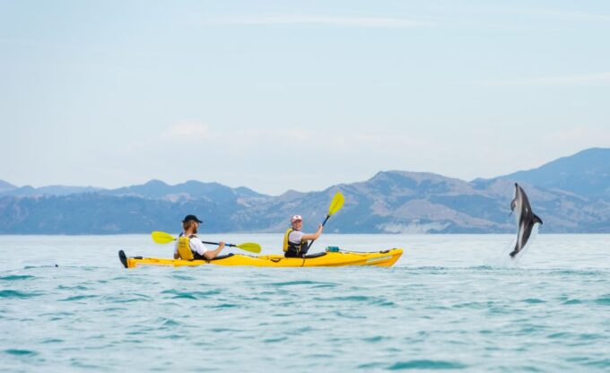 Kaikoura: Half-Day Wildlife Kayaking Tour - Activity Duration and Availability
