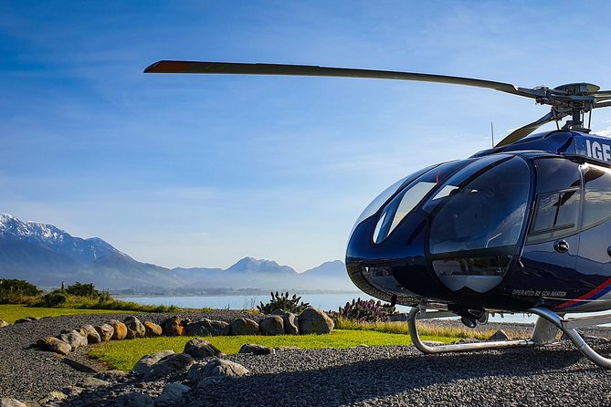 Kaikoura Helicopters Classic Whale Watch - Whale Sighting Guarantee